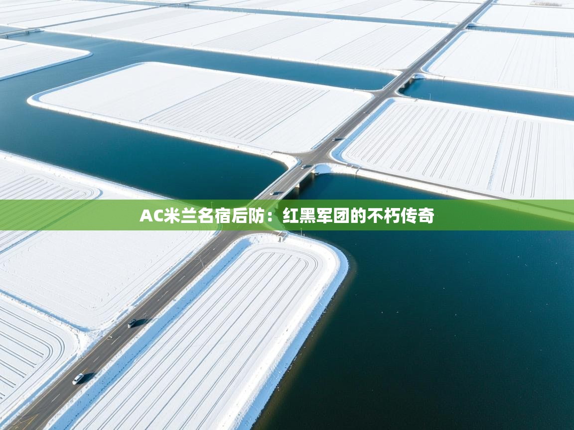 AC米兰名宿后防：红黑军团的不朽传奇