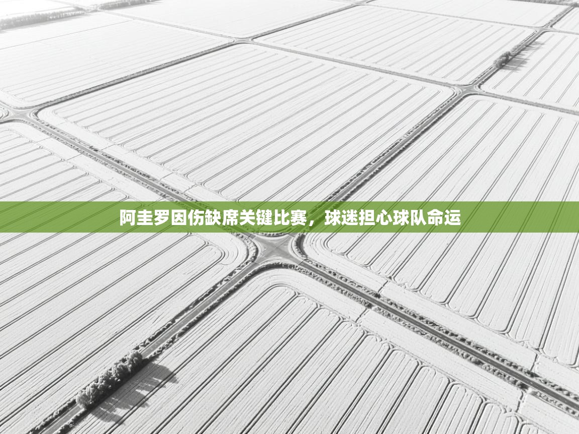 阿圭罗因伤缺席关键比赛，球迷担心球队命运