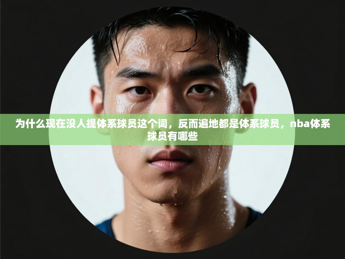 为什么现在没人提体系球员这个词，反而遍地都是体系球员，nba体系球员有哪些