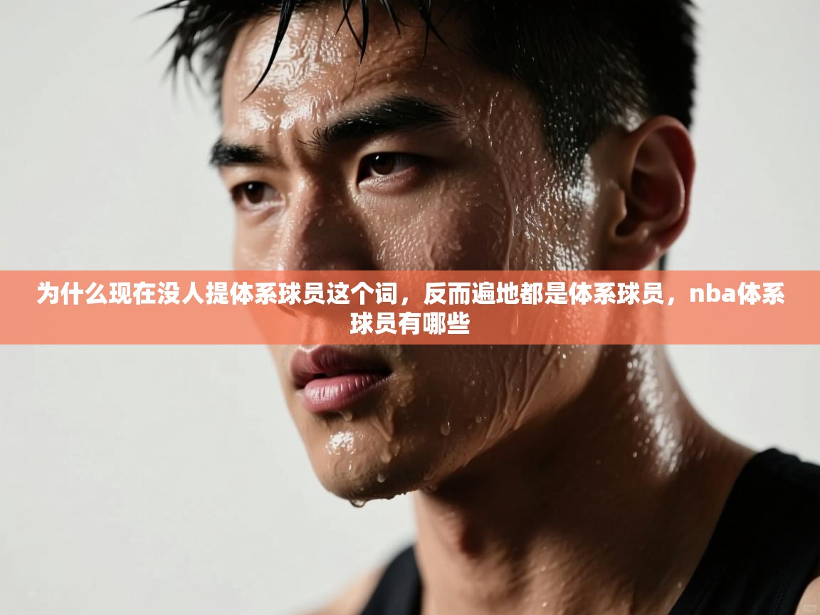 为什么现在没人提体系球员这个词，反而遍地都是体系球员，nba体系球员有哪些
