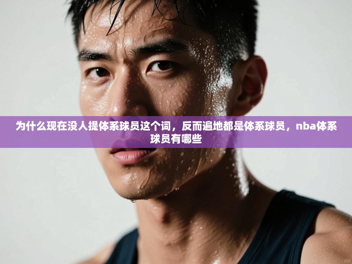 为什么现在没人提体系球员这个词，反而遍地都是体系球员，nba体系球员有哪些