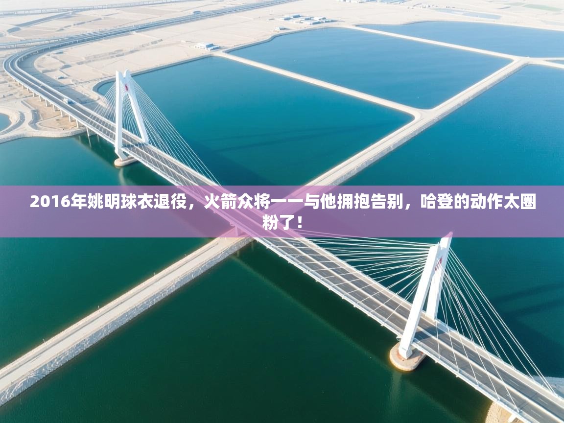 开云体育极速下载镜像-2016年姚明球衣退役,火箭众将一一与他拥抱告别,哈登的动作太圈粉了! 第1张