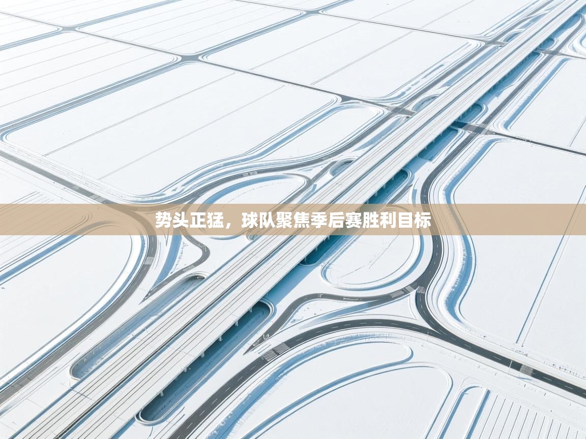 开云体育入口网址-势头正猛，球队聚焦季后赛胜利目标  第1张