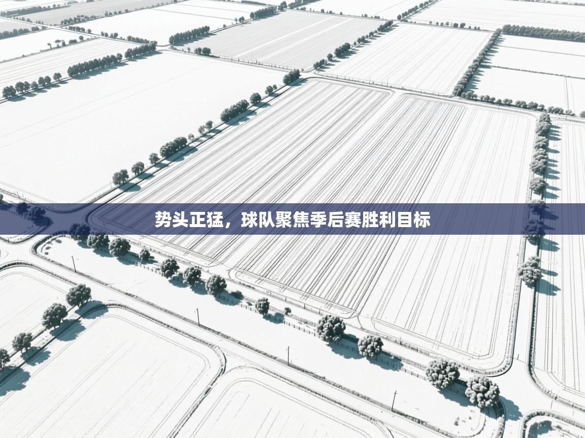 开云体育入口网址-势头正猛，球队聚焦季后赛胜利目标  第2张