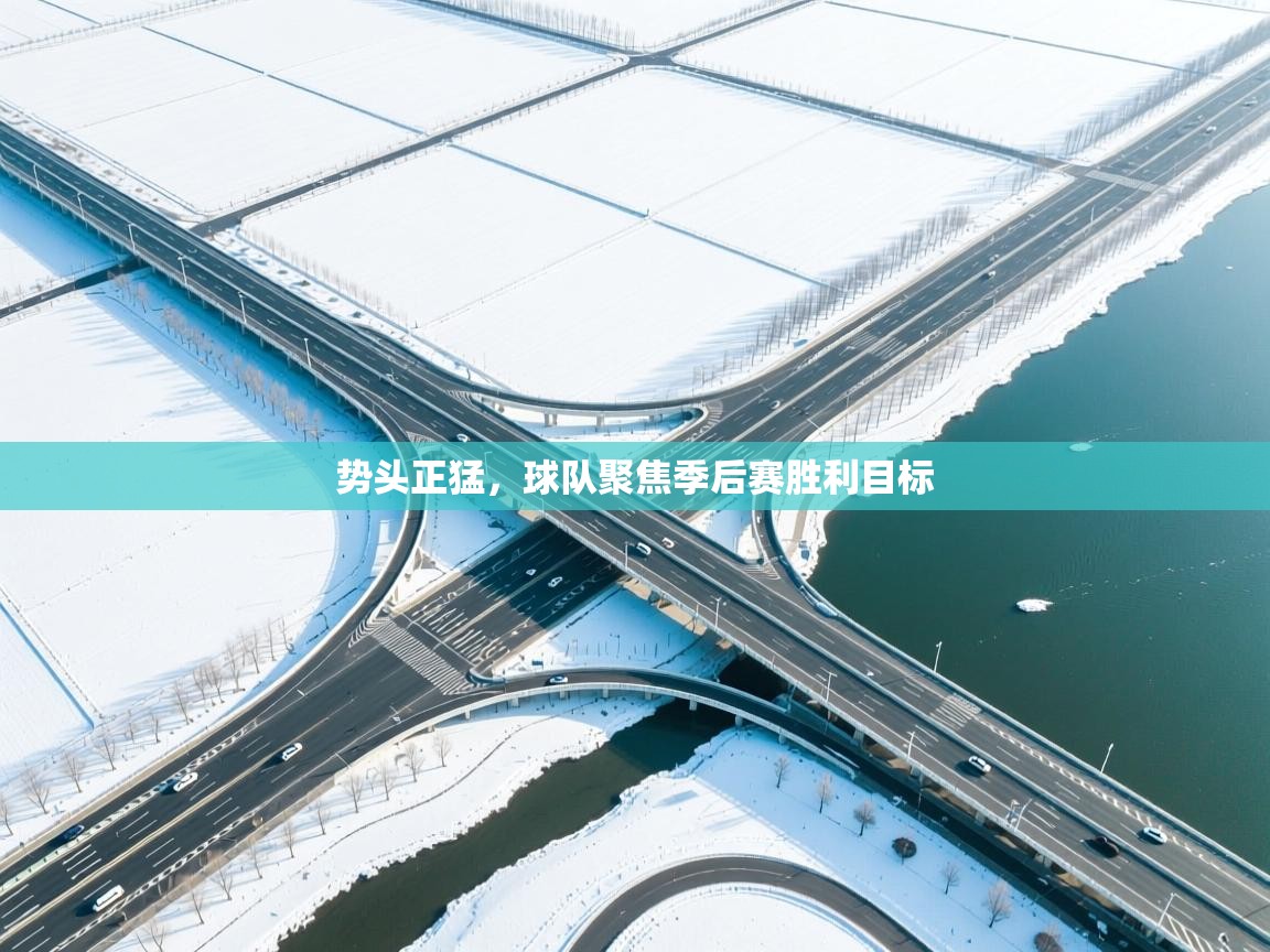 开云体育入口网址-势头正猛，球队聚焦季后赛胜利目标  第3张