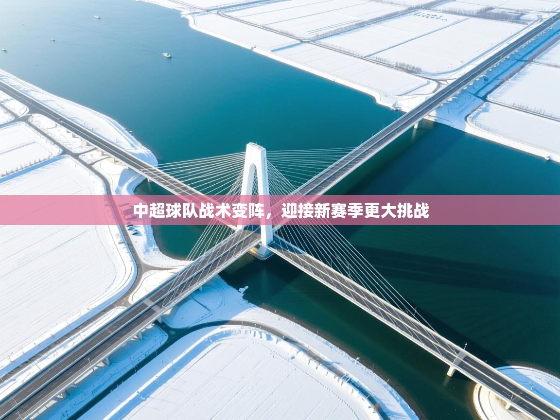 开云体育入口-中超球队战术变阵，迎接新赛季更大挑战  第2张