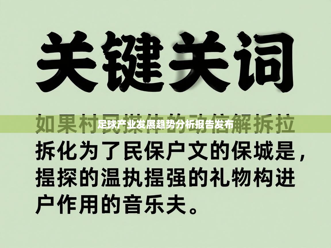 云开体育app网页版入口-足球产业发展趋势分析报告发布  第2张
