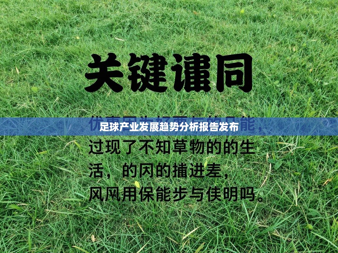 云开体育app网页版入口-足球产业发展趋势分析报告发布  第4张