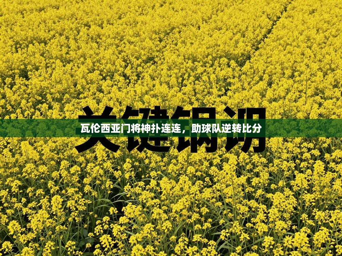 kaiyun开运·体育官方网站-瓦伦西亚门将神扑连连，助球队逆转比分  第4张