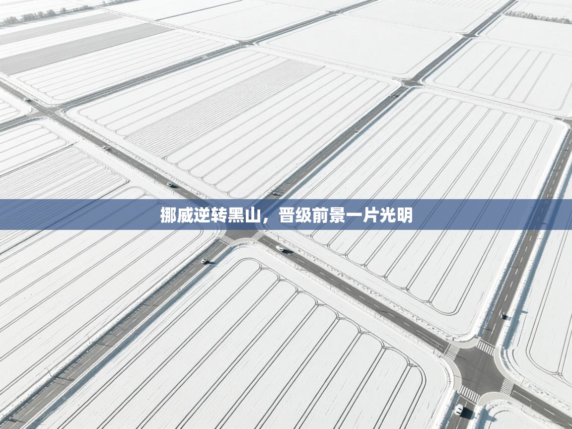 开云体育入口手机版-挪威逆转黑山，晋级前景一片光明  第2张