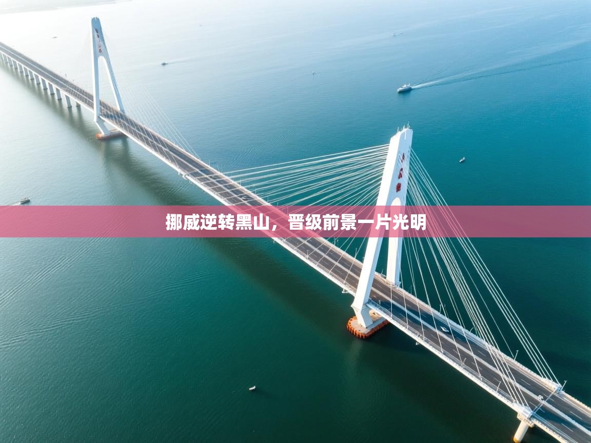 开云体育入口手机版-挪威逆转黑山，晋级前景一片光明  第3张