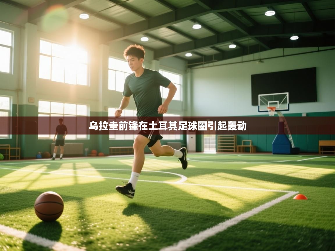 开云体育修改登录密码-乌拉圭前锋在土耳其足球圈引起轰动  第2张