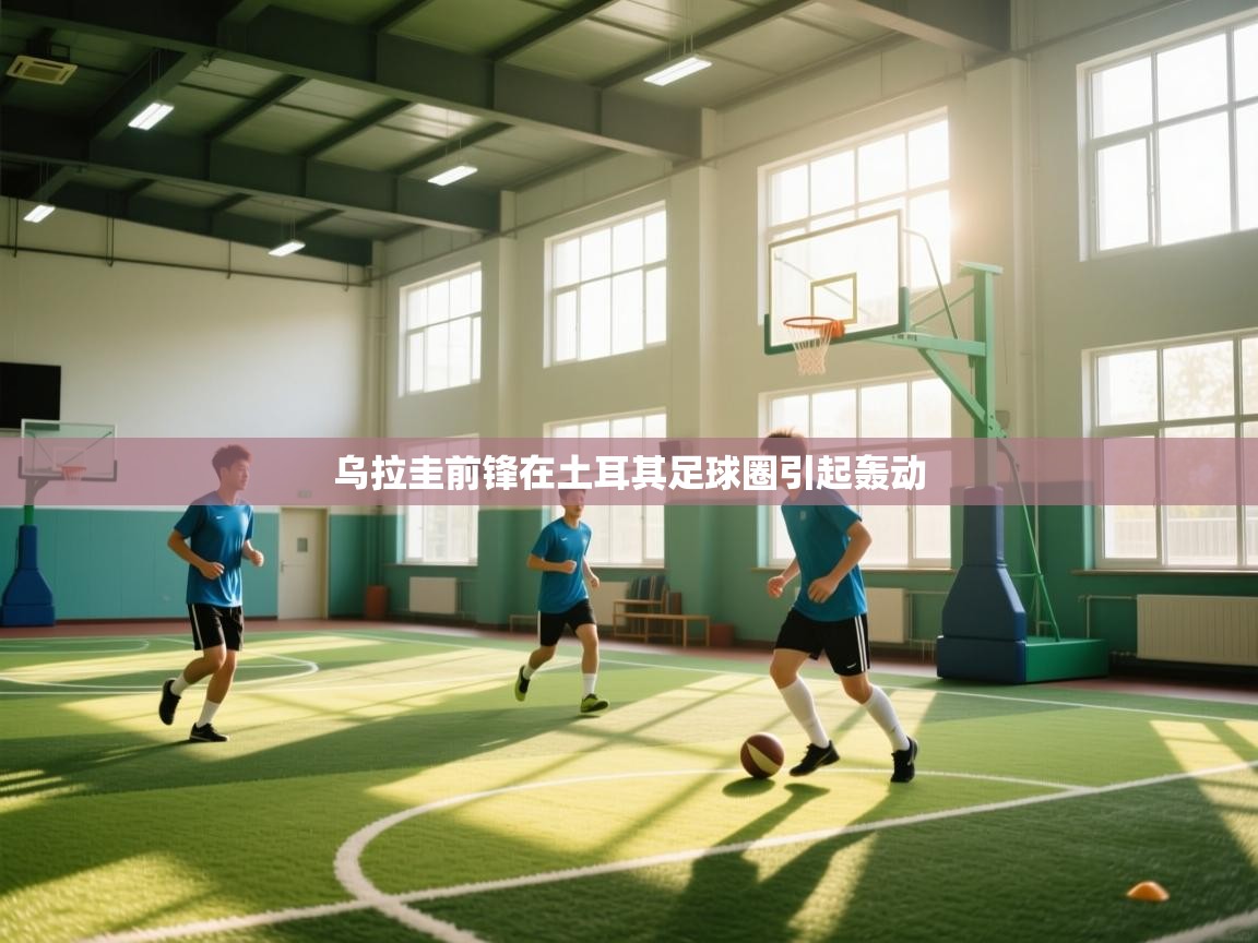 开云体育修改登录密码-乌拉圭前锋在土耳其足球圈引起轰动  第1张