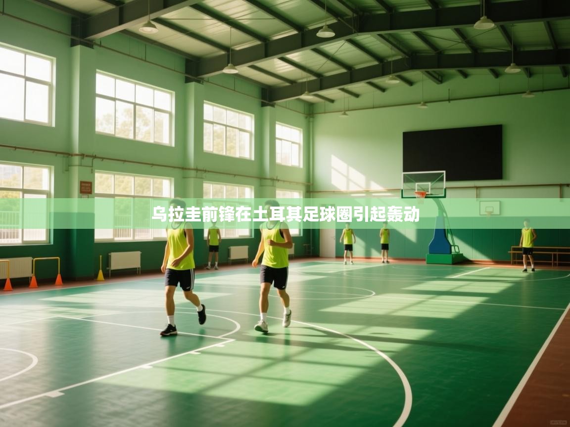 开云体育修改登录密码-乌拉圭前锋在土耳其足球圈引起轰动  第4张