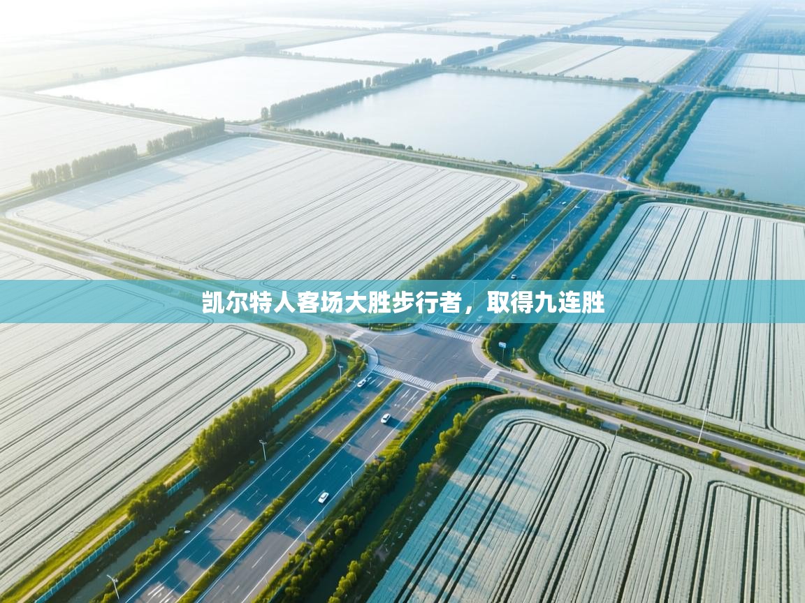 开云APP-凯尔特人客场大胜步行者,取得九连胜 第2张