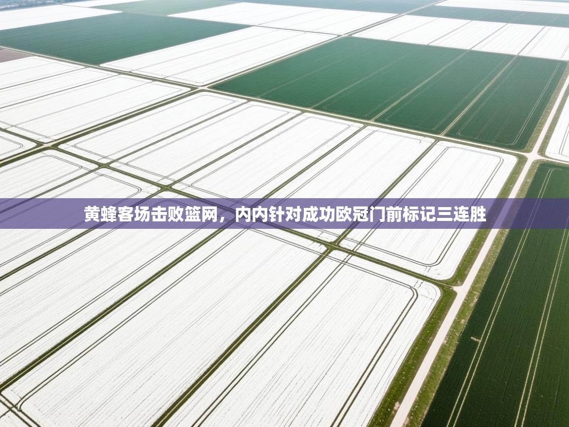 黄蜂客场击败篮网，内内针对成功欧冠门前标记三连胜